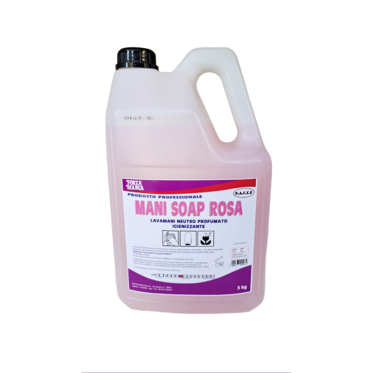 SAPONE LAVAMANI CON IGIENIZZANTE LT .5 X 4