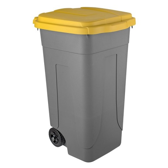 BIDONE  RACCOLTA DIFFERENZIATA CON RUOTE E COPERCHIO - CAPACITA' LT 80