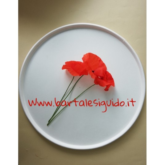 PIATTI PIZZA COMPOSTABILI 50 PZ