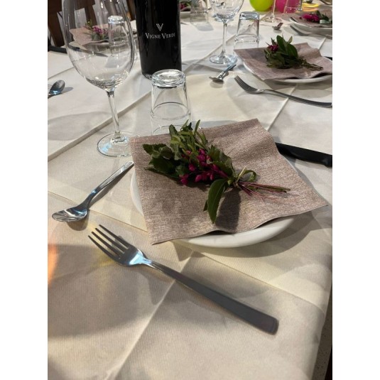 TOVAGLIOLI AIRLAID BRIZ  - 800 PZ