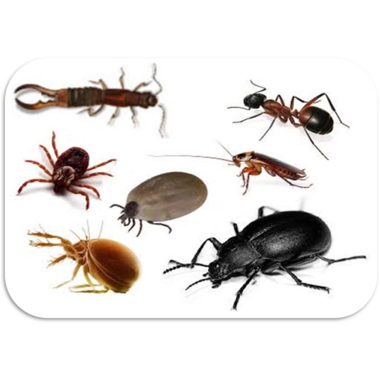 PERMECID PU ML 750 -INSETTICIDA PRONTO ALL'USO