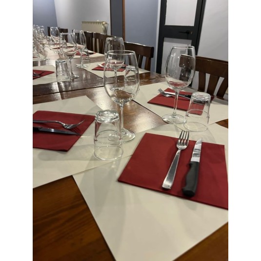 TOVAGLIOLI  AIRLAID BORDEAUX - 800 PZ