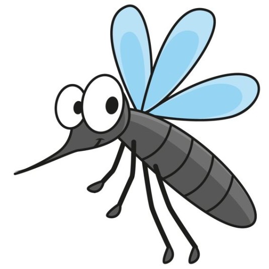 INSETTICIDA AEROSOL PROFUMATO 2 X 500 ML